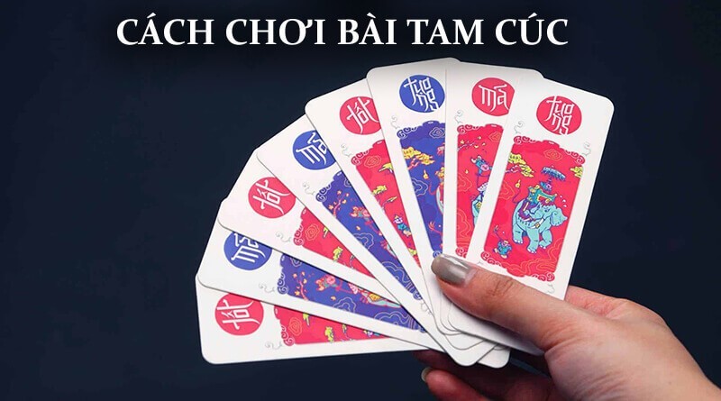 QQlive choi tam cuc 1