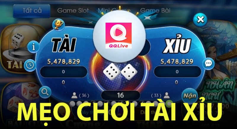 tài xỉu QQLive