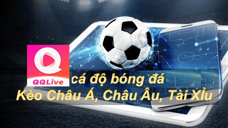 app qqlive kèo cược bóng